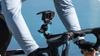 Insta360 Bike Headset Cap Mount | bicycle stem mount for sports cameras