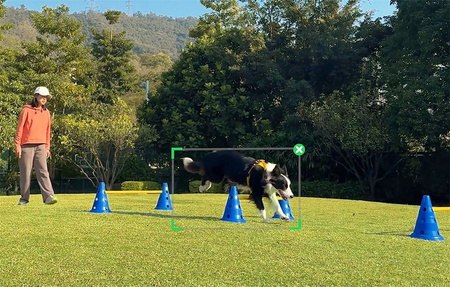  Insta360 Flow 2 Pro AI Tracker Bundle |Made for iPhone |zestaw szary