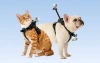 Pet harnesses, size S, for mounting Insta360 GO 3/ GO 3S cameras