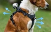 Pet harnesses, size S, for mounting Insta360 GO 3/ GO 3S cameras