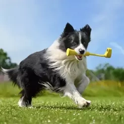 Insta360 GO 3 Fetch Stick | zabawka dla psa z mocowaniem na kamerę Insta360 GO 3 oraz GO 3s